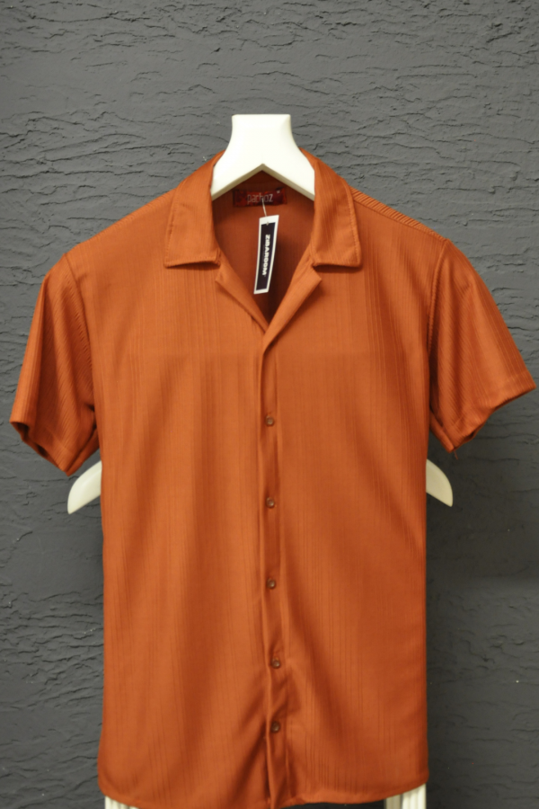  Slim Fit Erkek Kısa Kollu Çizgi Desenli Gömlek